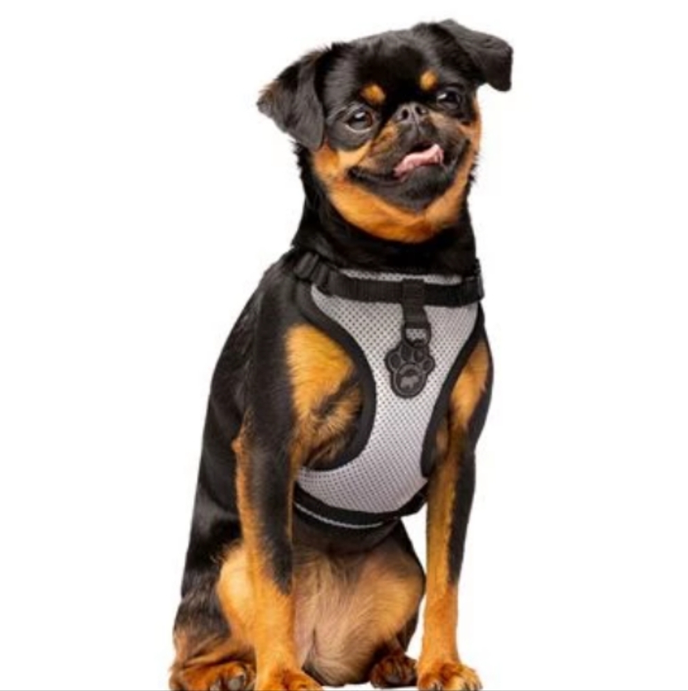 Canada Pooch Mesh Reflective Harness